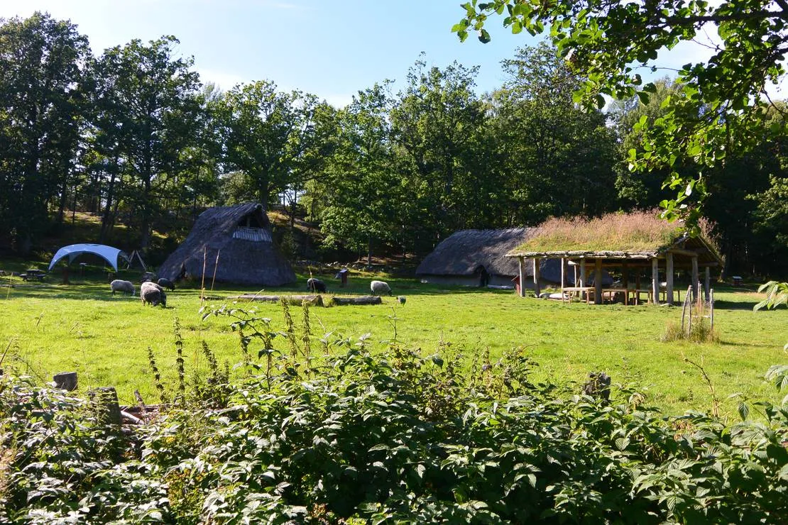 tanums-camping-stugby-tanumshede-iq8kk