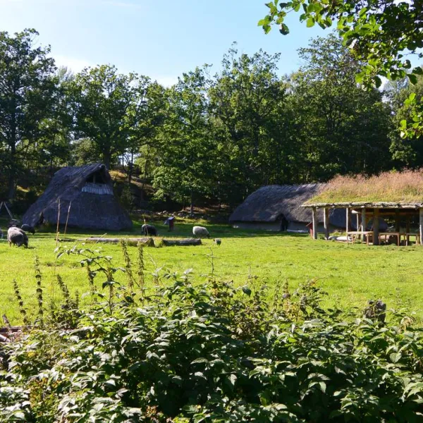 tanums-camping-stugby-tanumshede-iq8kk