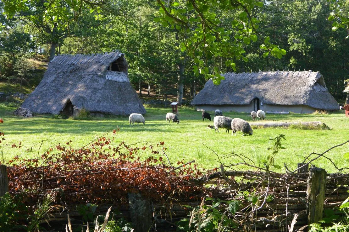 tanums-camping-stugby-tanumshede-jwyuk