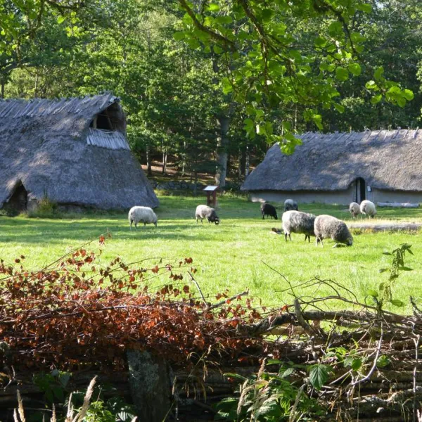 tanums-camping-stugby-tanumshede-jwyuk