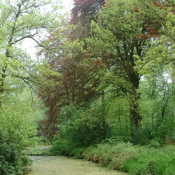 boerderijcamping-t-heeterveen-wezep-e4rpk