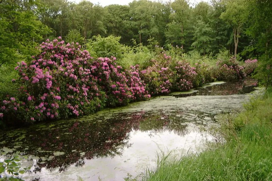 boerderijcamping-t-heeterveen-wezep-utnxp