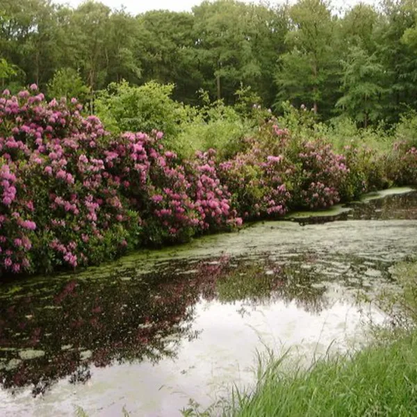 boerderijcamping-t-heeterveen-wezep-utnxp