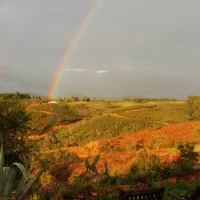 casas-novas-da-palmeira-sao-teotoniorelva-grande-46bfh