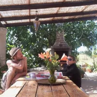 casas-novas-da-palmeira-sao-teotoniorelva-grande-4ix93