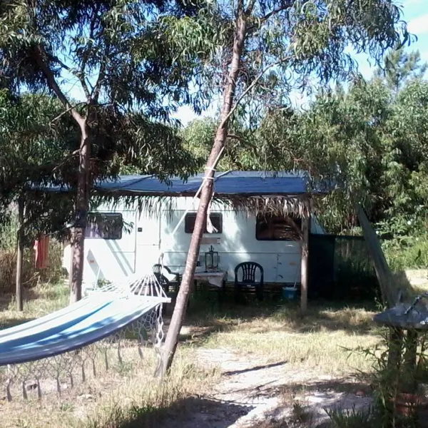 casas-novas-da-palmeira-sao-teotoniorelva-grande-abvvc