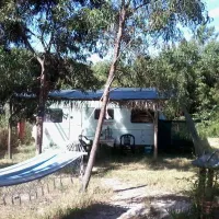 casas-novas-da-palmeira-sao-teotoniorelva-grande-abvvc