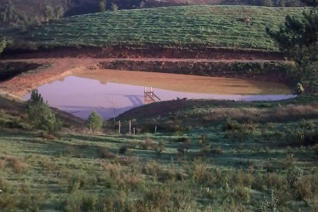 casas-novas-da-palmeira-sao-teotoniorelva-grande-br6bz