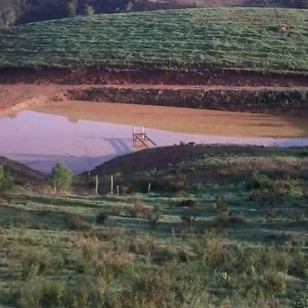 casas-novas-da-palmeira-sao-teotoniorelva-grande-br6bz