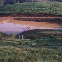 casas-novas-da-palmeira-sao-teotoniorelva-grande-br6bz