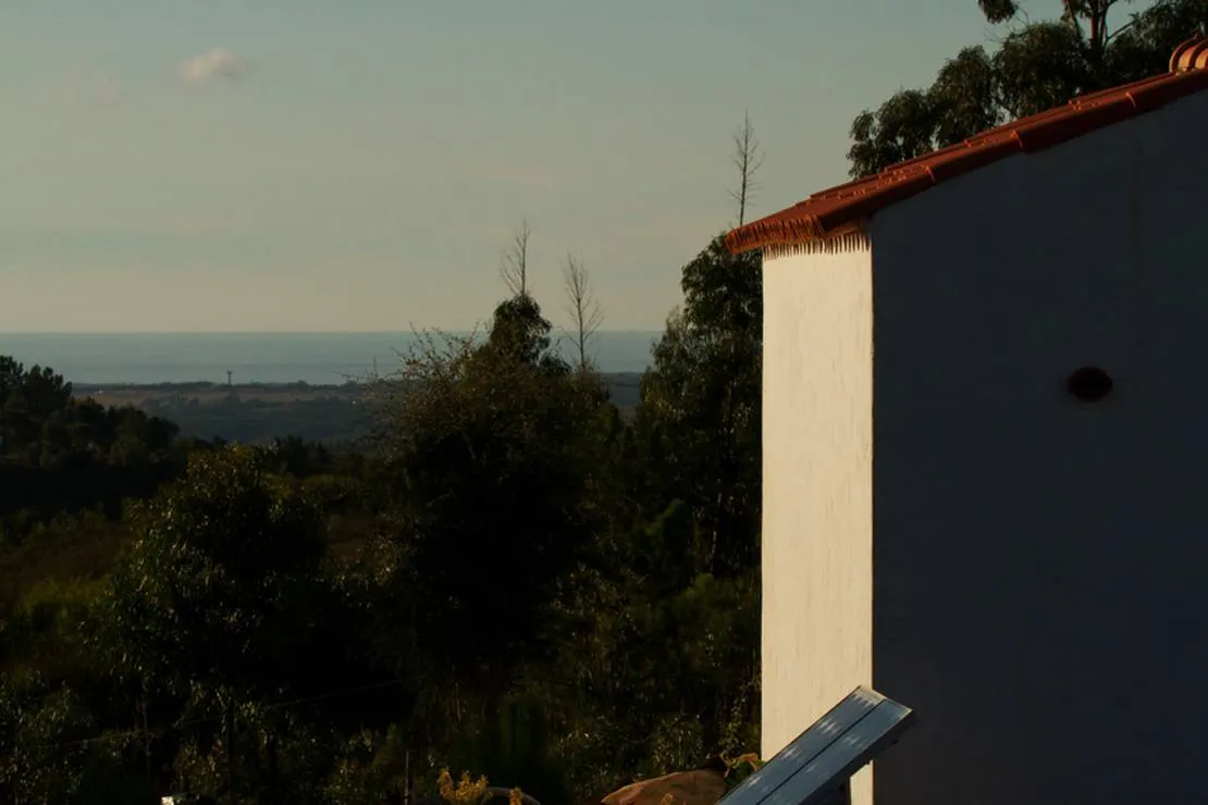 casas-novas-da-palmeira-sao-teotoniorelva-grande-myguu