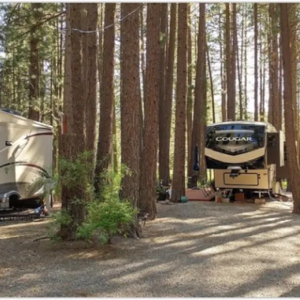 little-bear-rv-park-blairsden-x9zvg