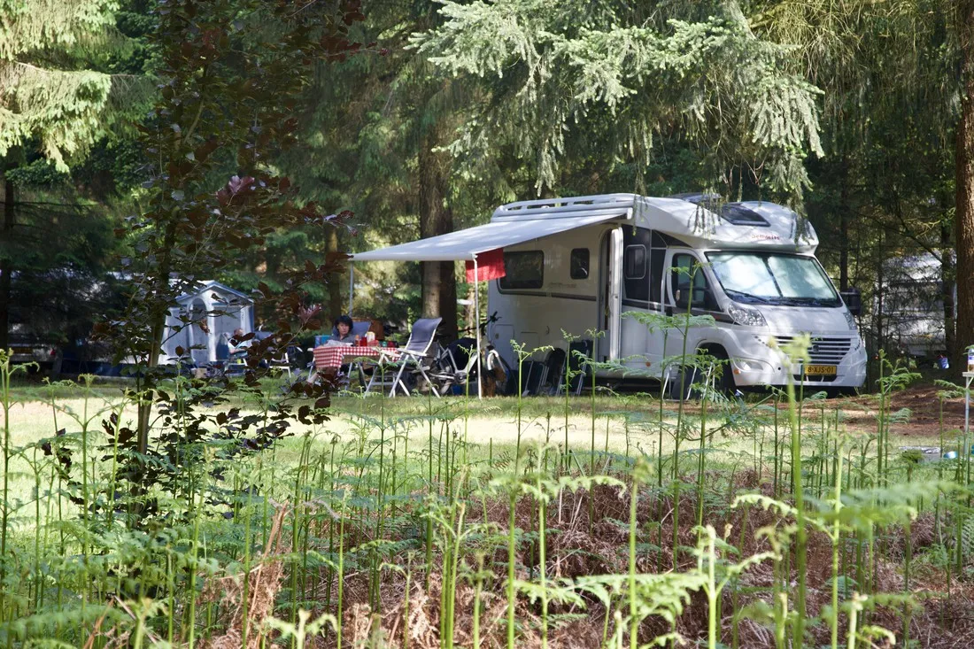 landgoed-borkerheide-westerbork-eafc8