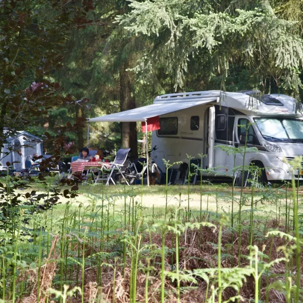 landgoed-borkerheide-westerbork-eafc8