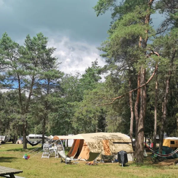 landgoed-borkerheide-westerbork-fymzo