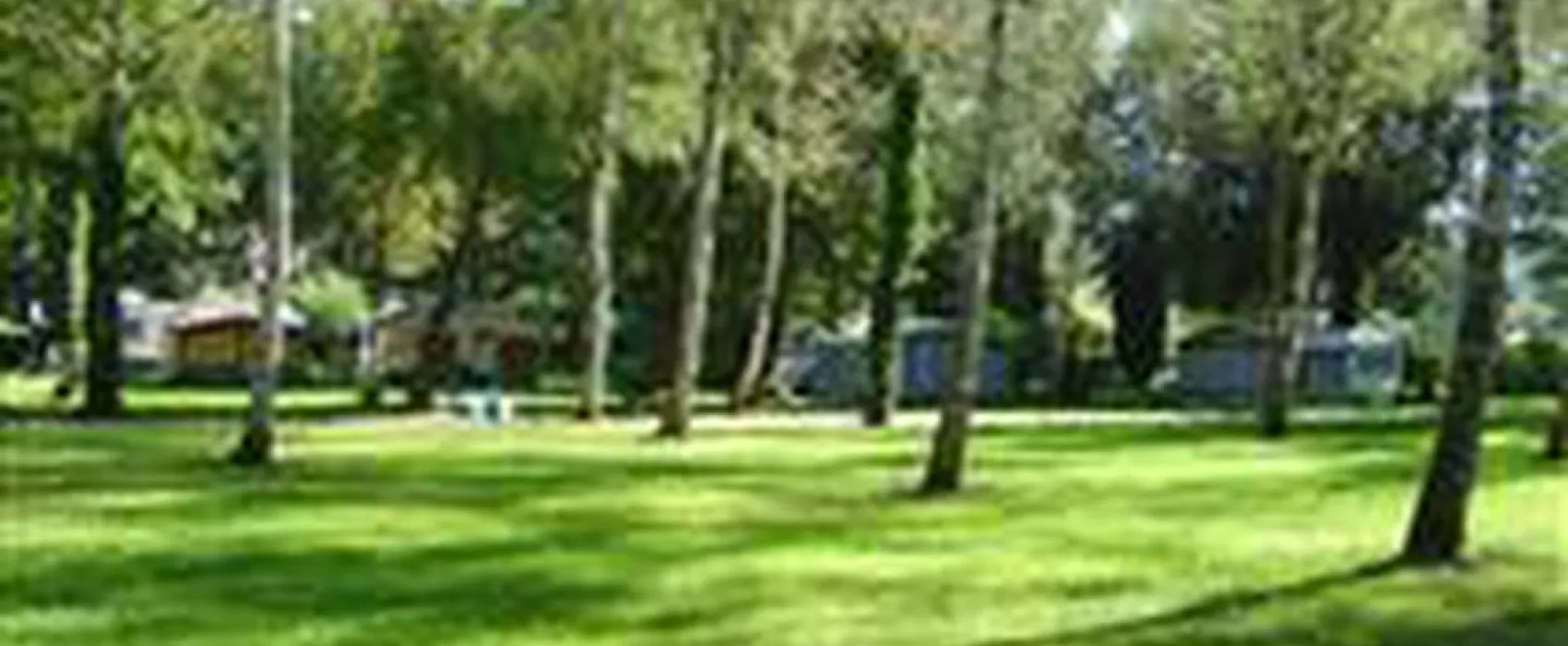 Camping Forelle