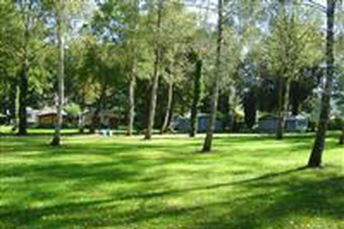 camping-forelle-wertheim-reicholzheim-8y3eg
