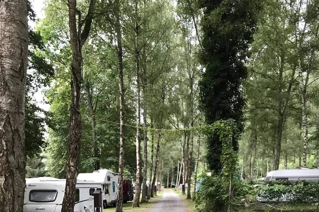camping-forelle-wertheim-reicholzheim-bay2u