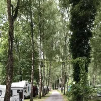 camping-forelle-wertheim-reicholzheim-bay2u