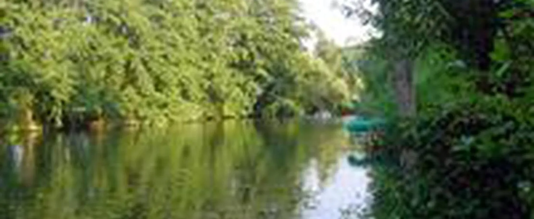 Camping Forelle