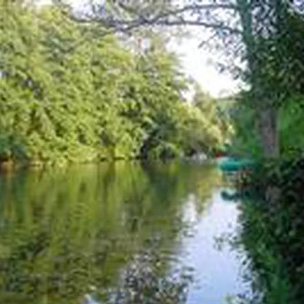 camping-forelle-wertheim-reicholzheim-c5yab
