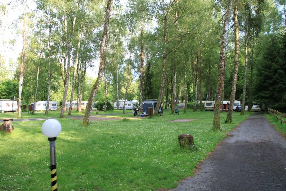 camping-forelle-wertheim-reicholzheim-nn5qt