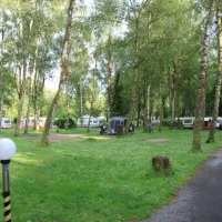 camping-forelle-wertheim-reicholzheim-nn5qt