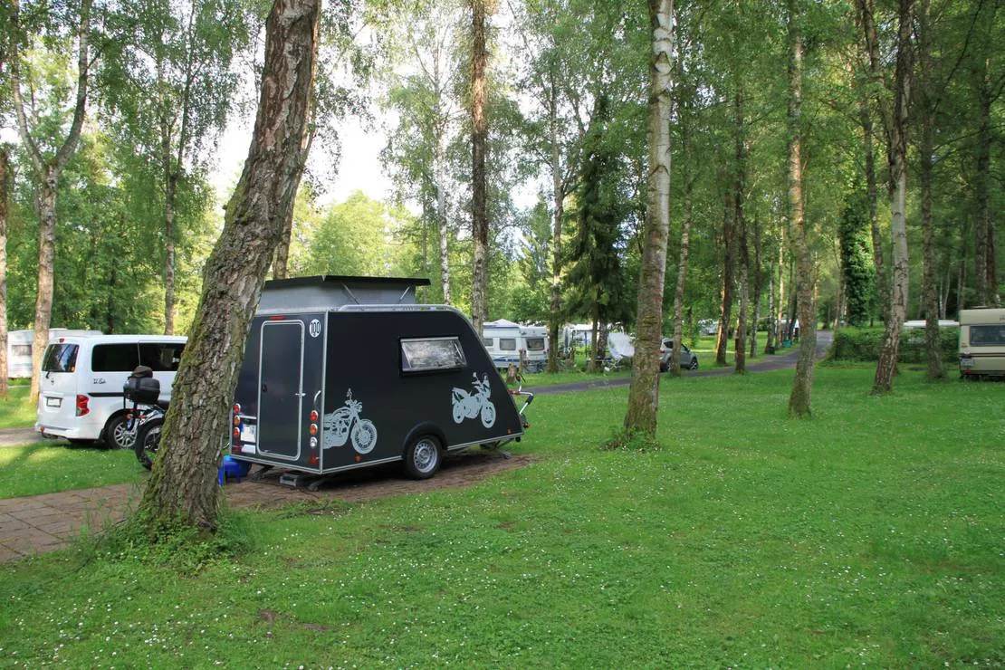 camping-forelle-wertheim-reicholzheim-ojhem