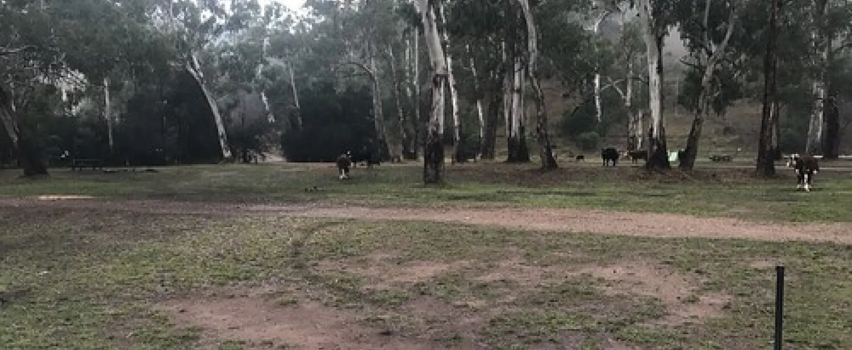 Sheepyard Flat Campground