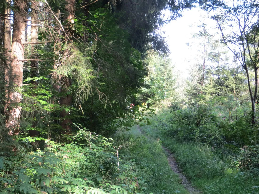 nell-uberlingen-uberlingen-gkngn