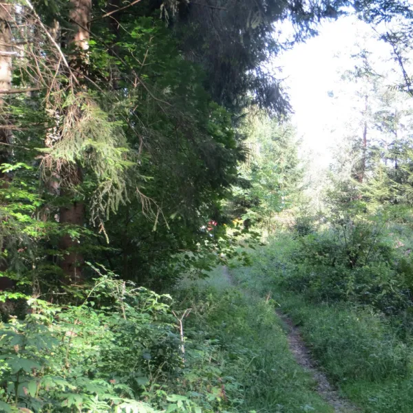 nell-uberlingen-uberlingen-gkngn