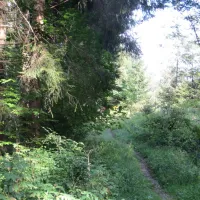 nell-uberlingen-uberlingen-gkngn