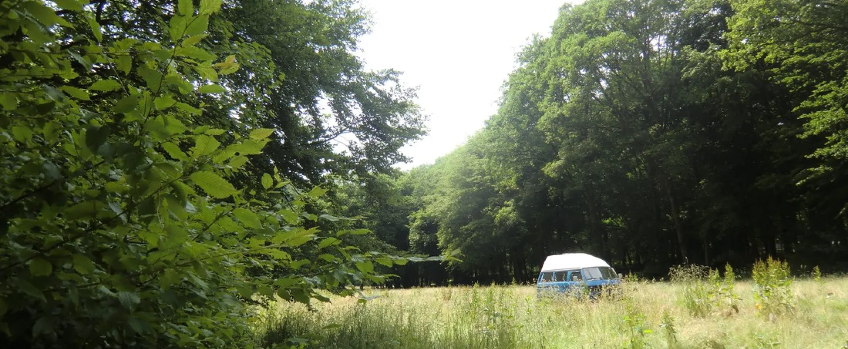 Haulmé