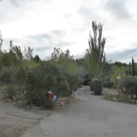 camping-fraga-fraga-f5wfl