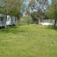 golden-coast-camping-kalamata-1jqot
