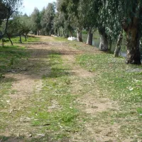 golden-coast-camping-kalamata-is1xy