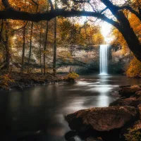 Foster Falls Campground