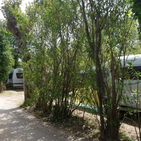 camping-les-pecheurs-roquebrune-sur-argens-32f1g