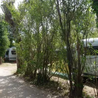camping-les-pecheurs-roquebrune-sur-argens-32f1g