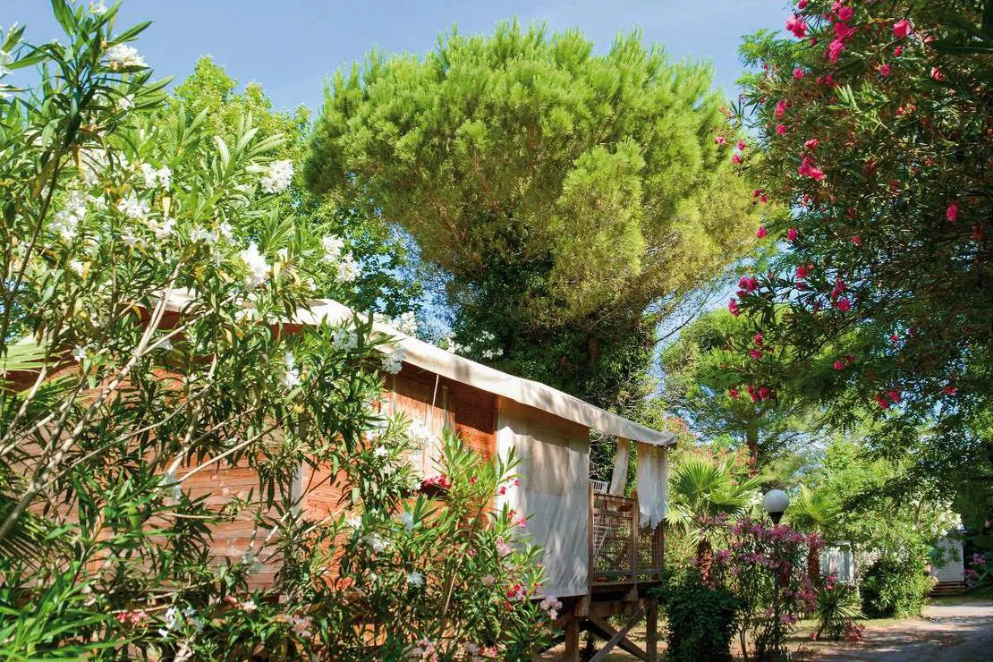 camping-les-pecheurs-roquebrune-sur-argens-wbx17