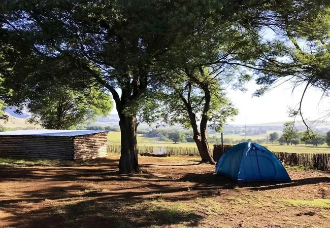 splashy-fen-log-cabin-camping-off-the-d600-underberg-7pkfg