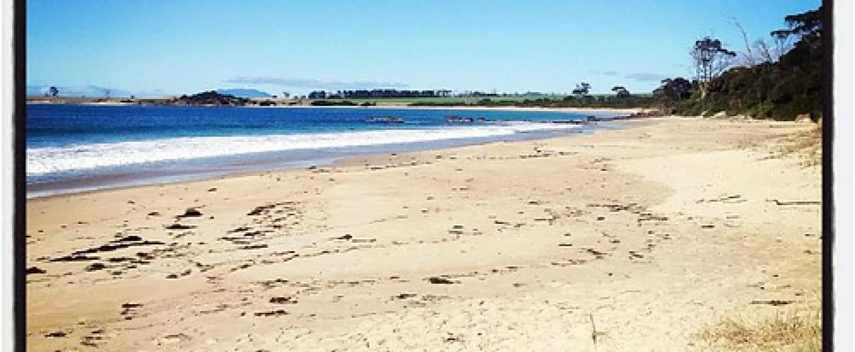 Mayfield Bay Campground