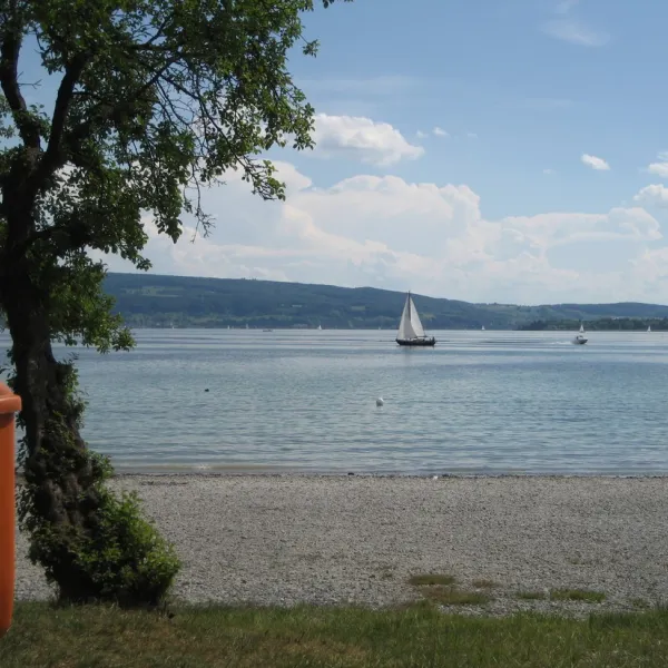 willam-am-bodensee-allensbach-iunqs