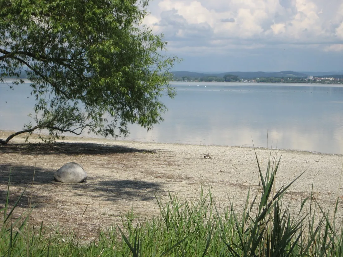 willam-am-bodensee-allensbach-nfhcq