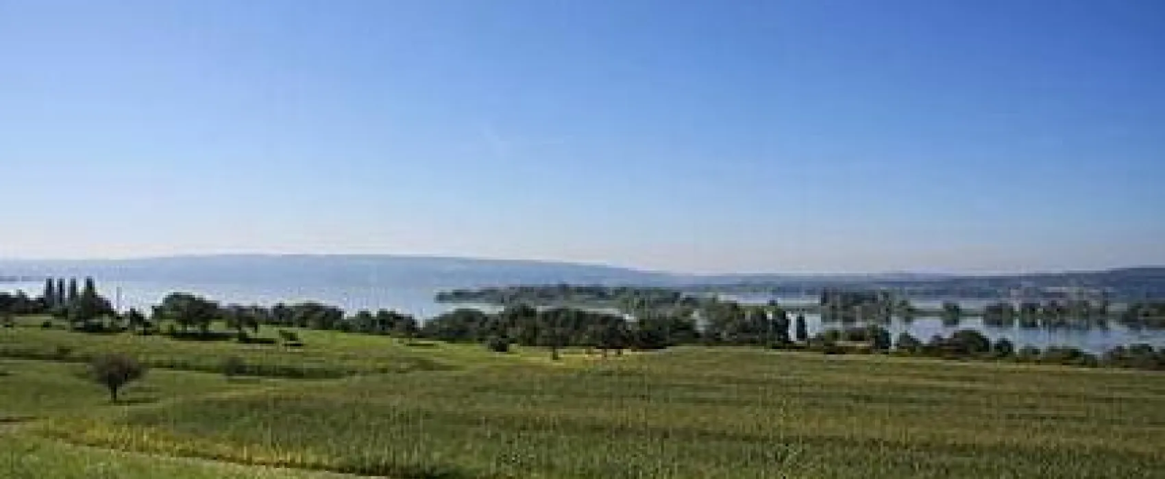 Willam am Bodensee