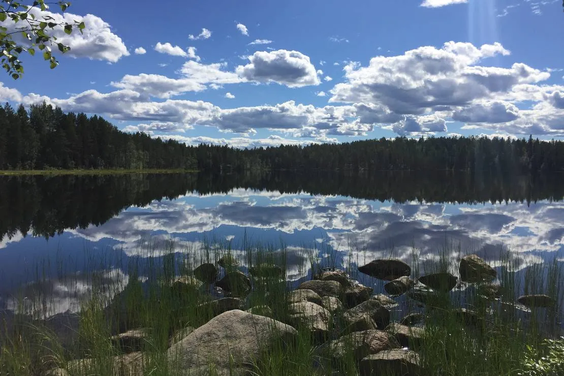 korvala-tiainen-zafmh