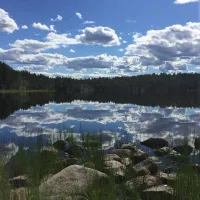 korvala-tiainen-zafmh