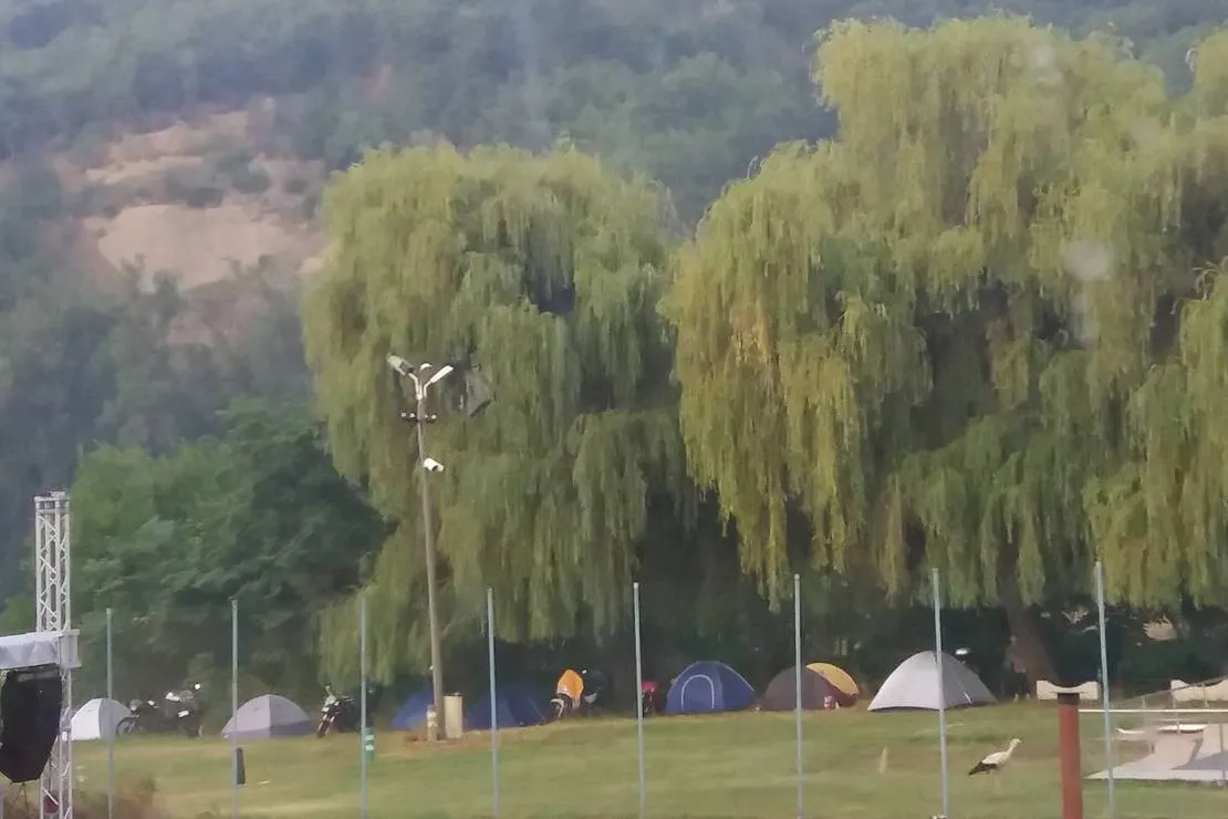 balotesti-campsit-balotesti-ghuon