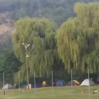 balotesti-campsit-balotesti-ghuon