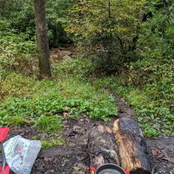 avery-creek-roadside-campsites-brevard-5srwl